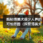 揭秘博美犬很少人养的可怕原因(探索博美犬受欢迎度低的内在因素)(图3) 揭秘博美犬很少人养的可怕原因(探索博美犬受欢迎度低的内在因素)(图3)