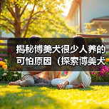 揭秘博美犬很少人养的可怕原因(探索博美犬受欢迎度低的内在因素)(图4) 揭秘博美犬很少人养的可怕原因(探索博美犬受欢迎度低的内在因素)(图4)