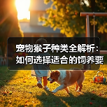 宠物猴子种类全解析:如何选择适合的饲养要点?(图4) 宠物猴子种类全解析:如何选择适合的饲养要点?(图4)