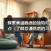 探索普通鹦鹉的独特特点（了解普通鹦鹉的习性、行为和沟通方式）（图2）