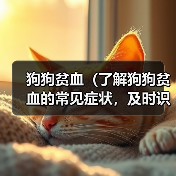 狗狗贫血(了解狗狗贫血的常见症状,及时识别并采取适当的处理措施)(图4) 狗狗贫血(了解狗狗贫血的常见症状,及时识别并采取适当的处理措施)(图4)