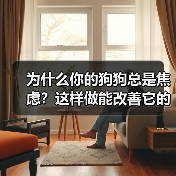 为什么你的狗狗总是焦虑?这样做能改善它的心理健康(图2) 为什么你的狗狗总是焦虑?这样做能改善它的心理健康(图2)