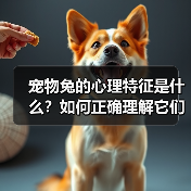 宠物兔的心理特征是什么?如何正确理解它们?(图2) 宠物兔的心理特征是什么?如何正确理解它们?(图2)