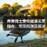 养宠博士宠物健康实用指南:常见问题及解决方法(图2) 养宠博士宠物健康实用指南:常见问题及解决方法(图2)