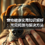 宠物健康实用知识解析:常见问题与解决方法全攻略(图4) 宠物健康实用知识解析:常见问题与解决方法全攻略(图4)