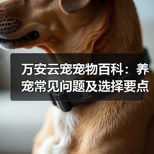 万安云宠宠物百科：养宠常见问题及选择要点，新手必看（图2）