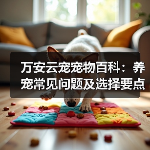 万安云宠宠物百科：养宠常见问题及选择要点，新手必看（图4）