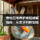 宠物日常养护难题破解指南:从需求判断到维护全攻略(图3) 宠物日常养护难题破解指南:从需求判断到维护全攻略(图3)