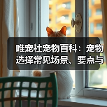 唯宠社宠物百科:宠物选择常见场景、要点与注意事项指南(图2) 唯宠社宠物百科:宠物选择常见场景、要点与注意事项指南(图2)