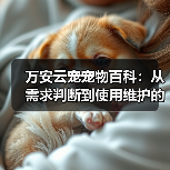 万安云宠宠物百科：从需求判断到使用维护的日常经验