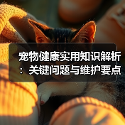 宠物健康实用知识解析:关键问题与维护要点全攻略(图3) 宠物健康实用知识解析:关键问题与维护要点全攻略(图3)