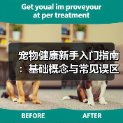 宠物健康新手入门指南：基础概念与常见误区，5个方法告别养宠焦虑