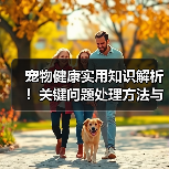 宠物健康实用知识解析！关键问题处理方法与维护要点