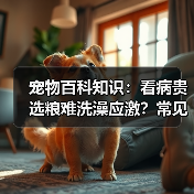 宠物百科知识：看病贵选粮难洗澡应激？常见场景选择要点与注意事项