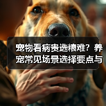 宠物看病贵选粮难?养宠常见场景选择要点与注意事项(图4) 宠物看病贵选粮难?养宠常见场景选择要点与注意事项(图4)
