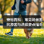 宠物百科:常见场景困扰原因与选择要点指南(图2) 宠物百科:常见场景困扰原因与选择要点指南(图2)