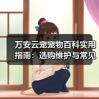 万安云宠宠物百科实用指南：选购维护与常见问题解析