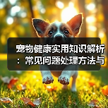 宠物健康实用知识解析：常见问题处理方法与维护要点指南
