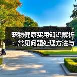 宠物健康实用知识解析：常见问题处理方法与维护要点指南（图4）