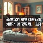 新生家伴宠物咨询行业知识：常见场景、选择要点和注意事项
