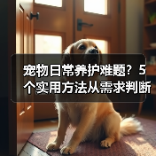 宠物日常养护难题?5个实用方法从需求判断到使用维护(图4) 宠物日常养护难题?5个实用方法从需求判断到使用维护(图4)