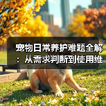 宠物日常养护难题全解：从需求判断到使用维护的实用经验