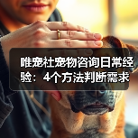 唯宠社宠物咨询日常经验：4个方法判断需求到使用维护