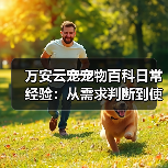 万安云宠宠物百科日常经验：从需求判断到使用维护5大方法