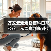 万安云宠宠物百科日常经验:从需求判断到使用维护5大方法(图4) 万安云宠宠物百科日常经验:从需求判断到使用维护5大方法(图4)