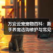 万安云宠宠物百科：新手养宠选购维护与常见问题指南2026