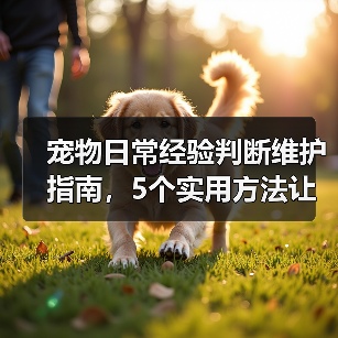 宠物日常经验判断维护指南,5个实用方法让你少花冤枉钱(图1) 宠物日常经验判断维护指南,5个实用方法让你少花冤枉钱(图1)